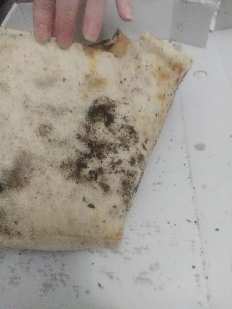 IA Corporation_Traviata Marchena_Marchena_review