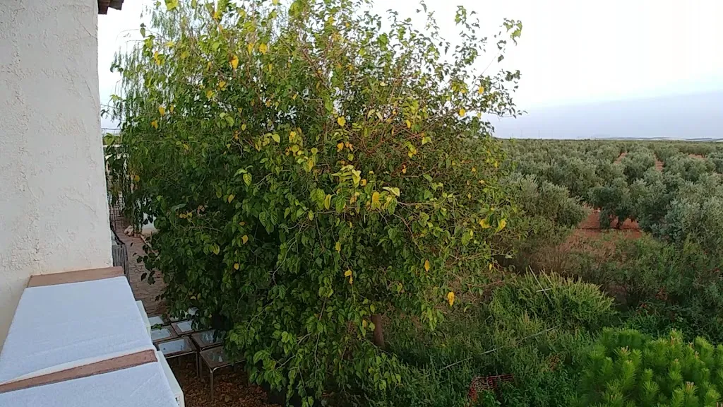 Hotel Rural Hoyo Bautista_Martín de la Jara_slider_image_1