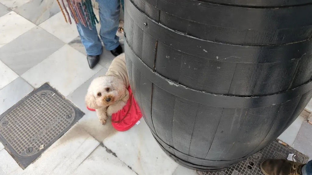 José Lopez_Bar Rey Chico_Berja_review