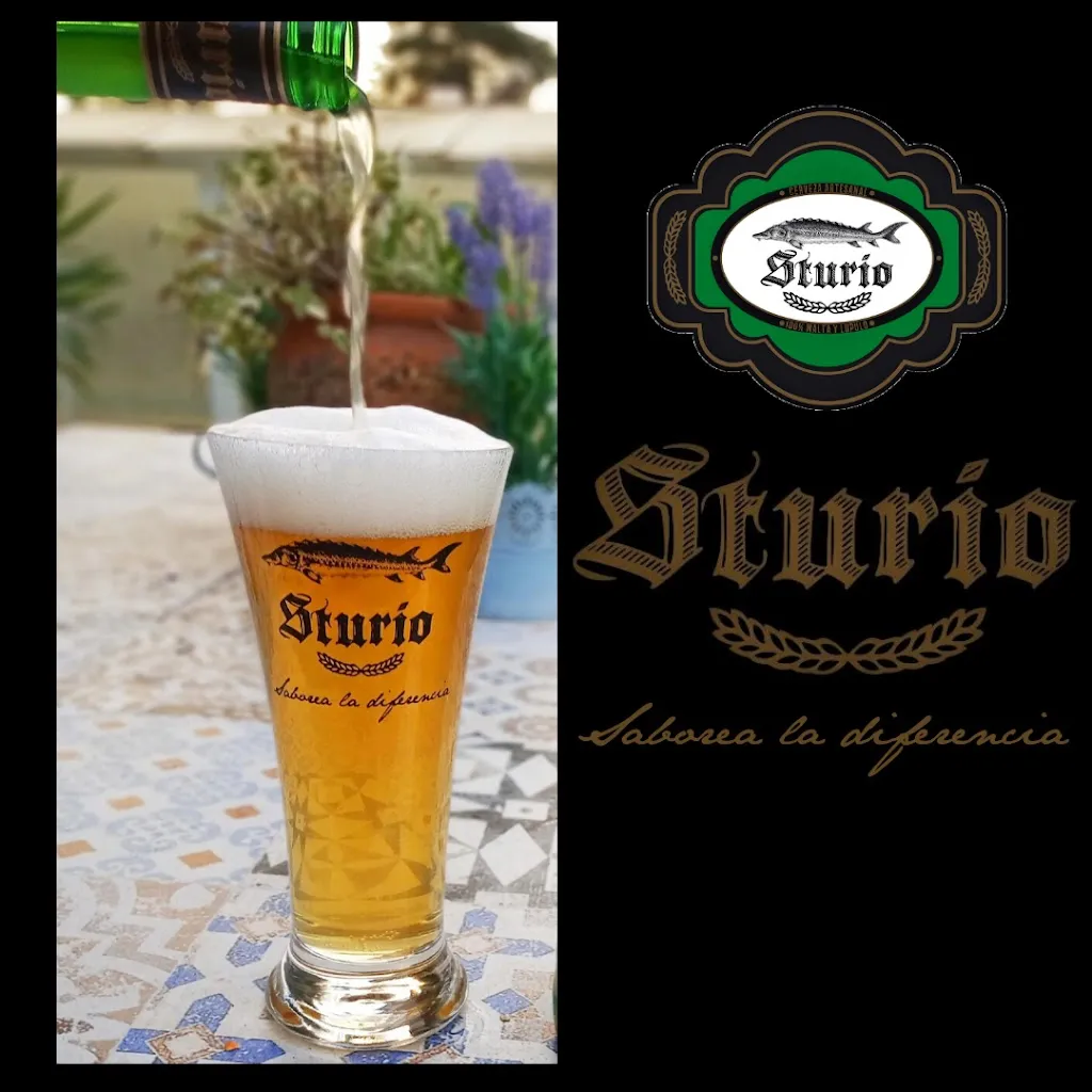 Menu_Sturio_Mairena del Alcor_image_3