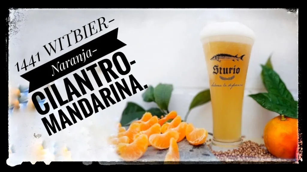 Menu_Sturio_Mairena del Alcor_image_6