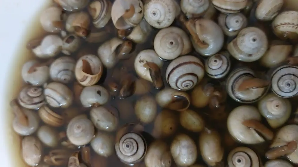 Tere Carrion_Bar Malojo_Mairena del Alcor_review