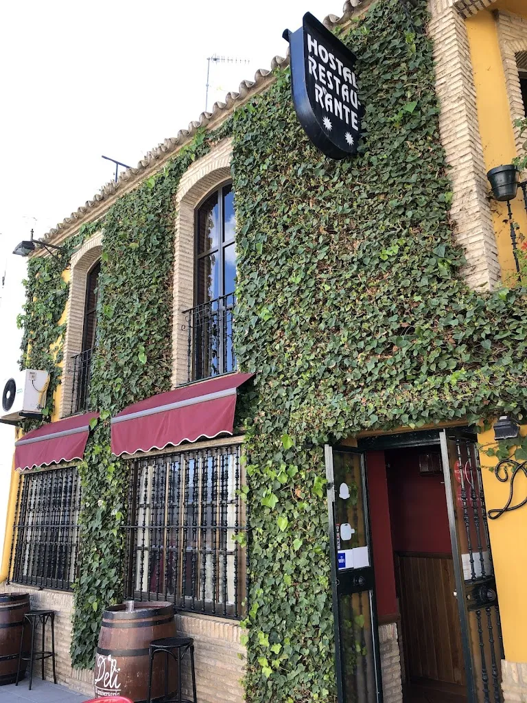 Peter Cordenonsi_Deli_Montellano_review