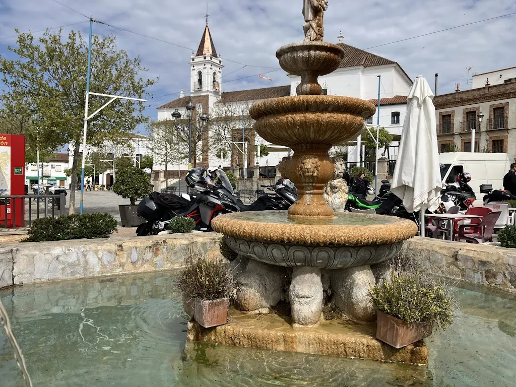 Castaño Gordo_Navas de la Concepción Las_slider_image_2