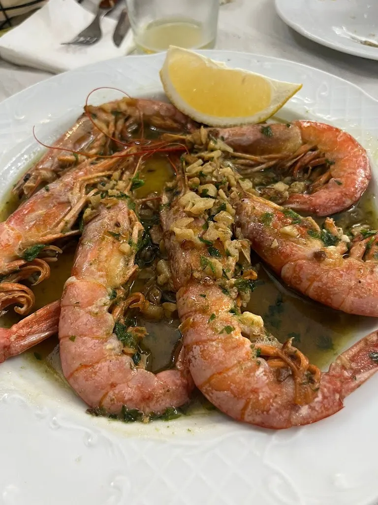 Nuevo Bar Soria_Morón de la Frontera_slider_image_3