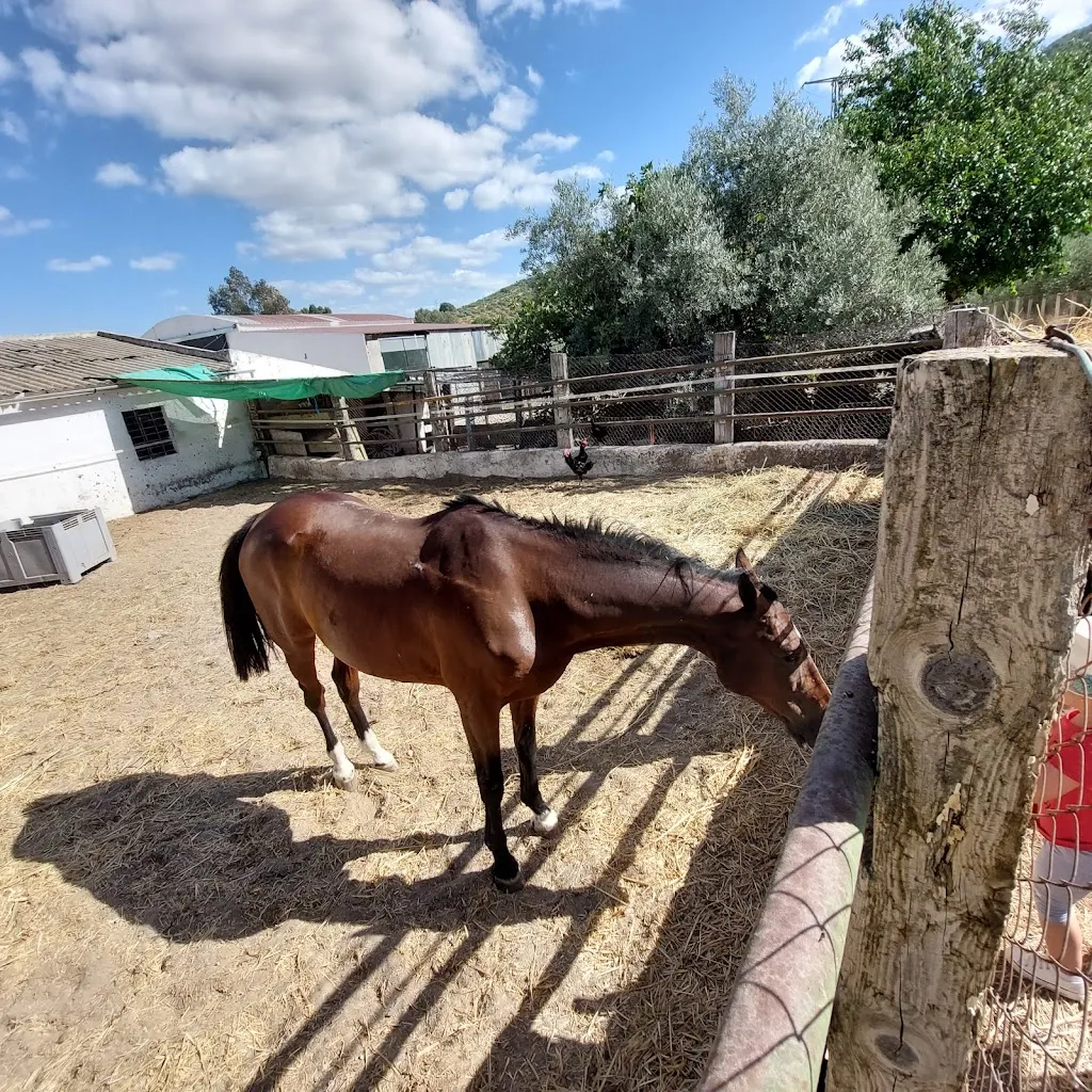 Manu RoSu_Venta de Espartero_Morón de la Frontera_recensione