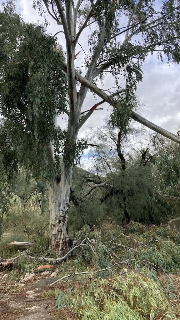 Venta de Espartero_Morón de la Frontera_slider_image_3