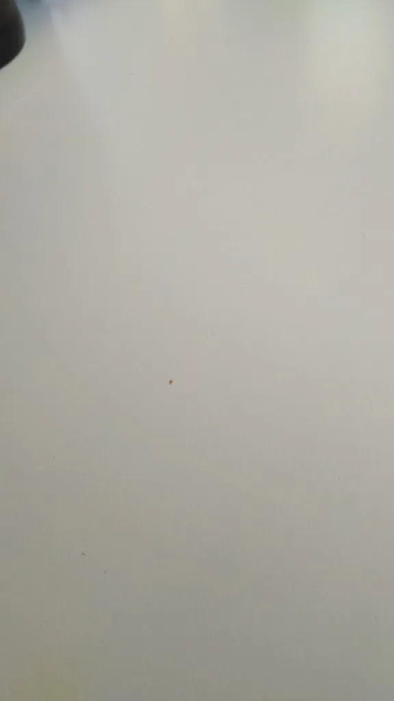 Bar La Faena_Dalías_slider_image_2