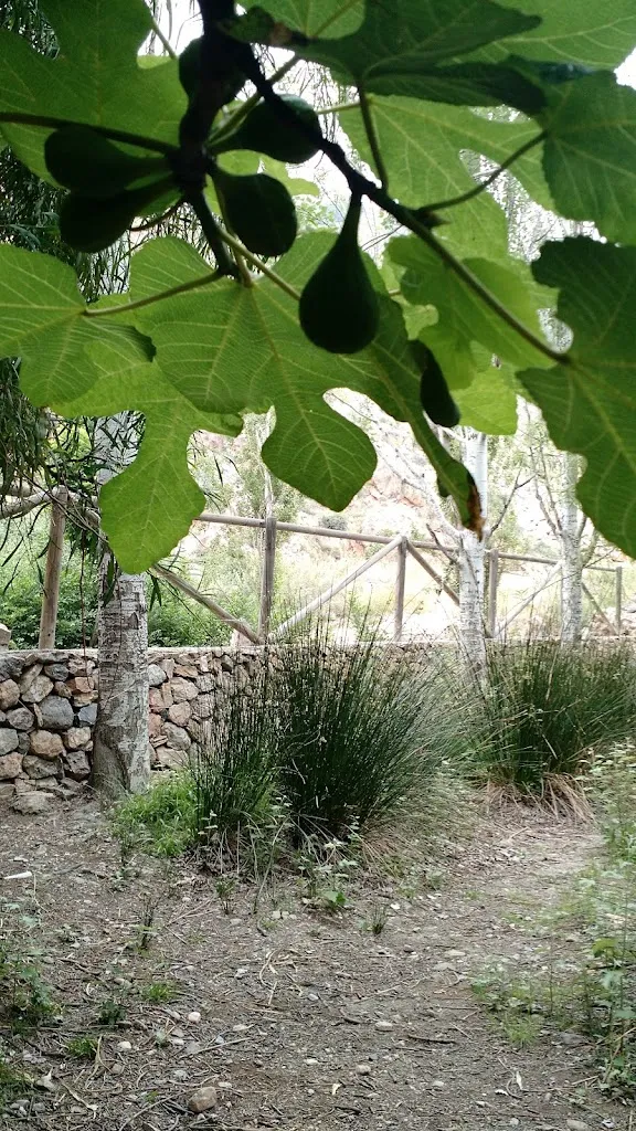 Tracey W_Restaurante El Arroyo_Dalías_review