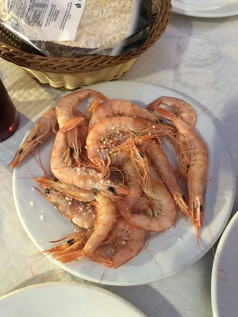 Enrique Palacios_Bar La Escalerita_Palomares del Río_recensione