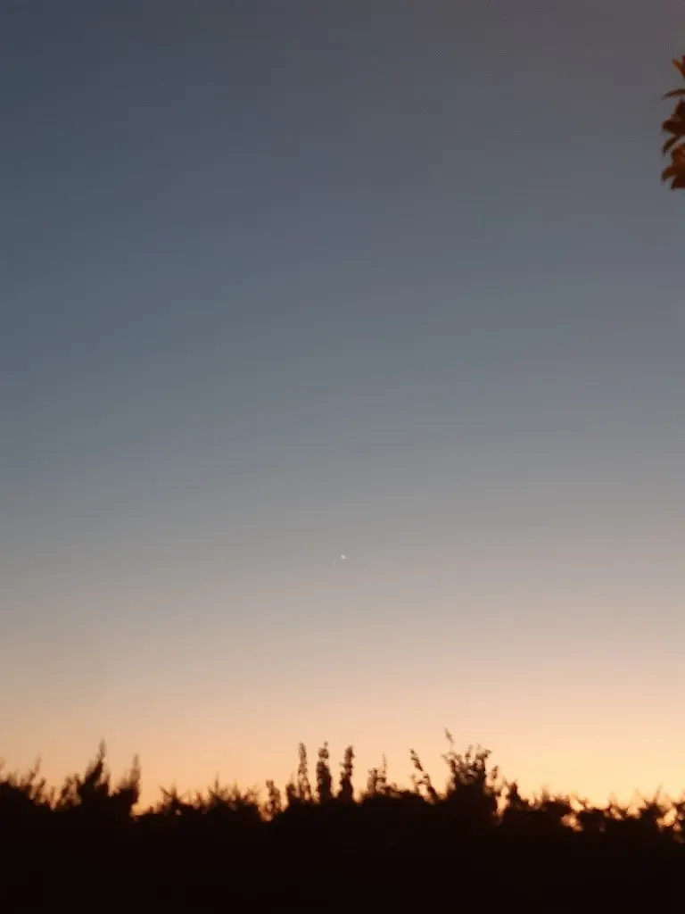 Louise Bentley_Restaurante Saravia_Puebla de los Infantes La_review