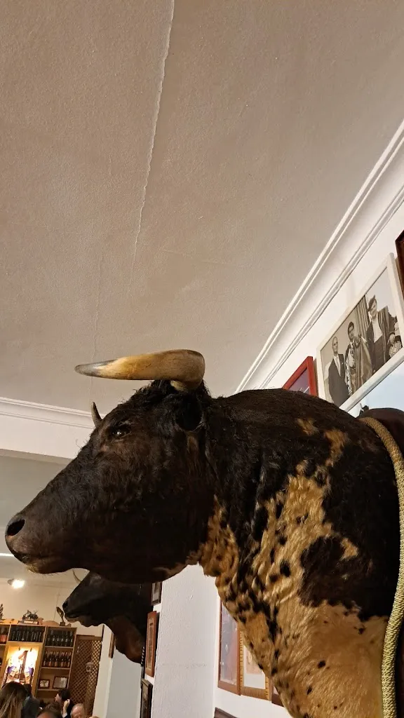 Bar Peña Taurina Morante de La Puebla_Puebla del Río La_slider_image_3