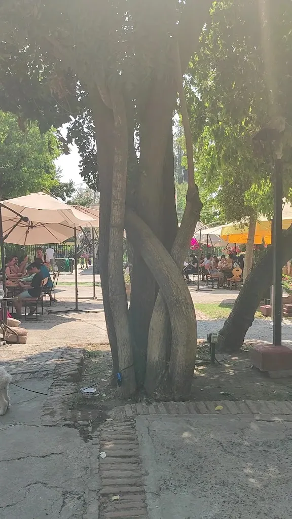 Munich Malloco_Peñaflor_slider_image_2