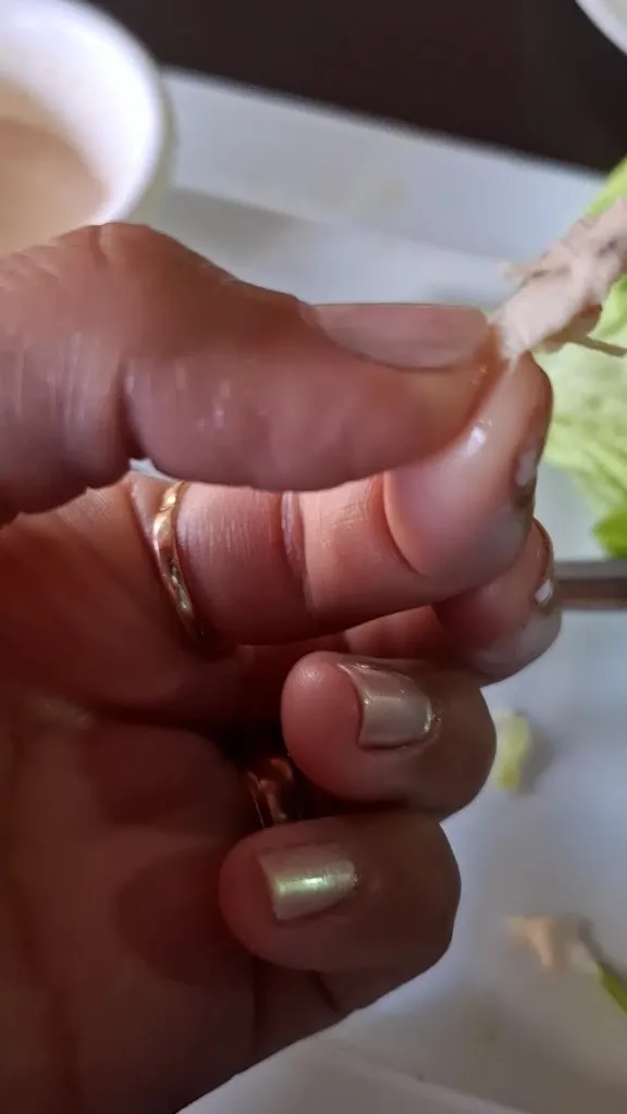 Maria Ortiz_Choroní Restobar_Peñaflor_review