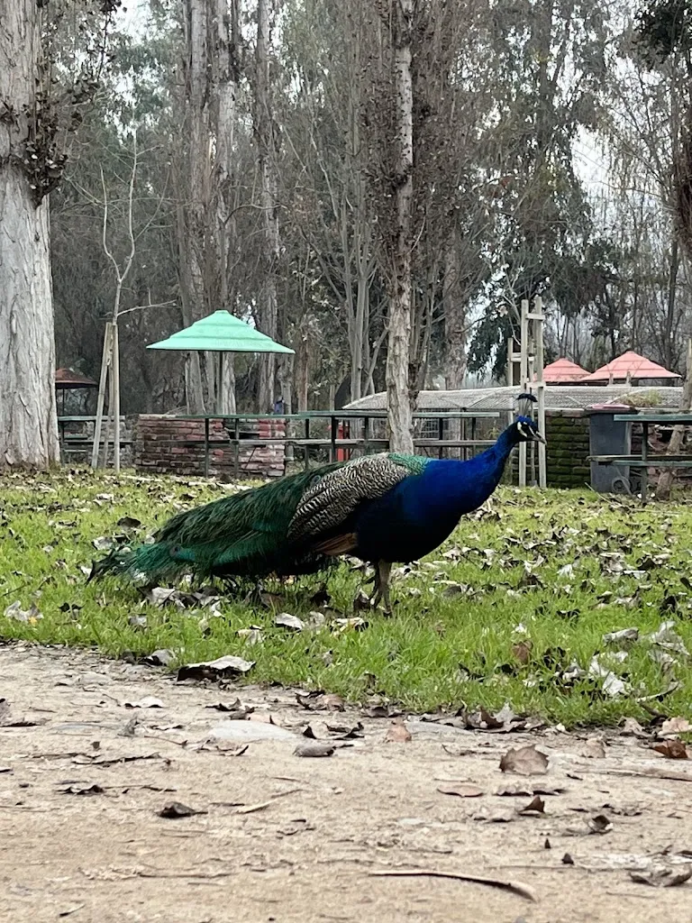 Otto Fritz_Peñaflor_slider_image_1