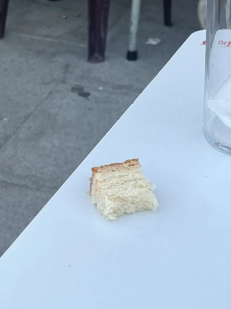 jennifer Porrua_Bar Restaurante CURRO_Ronquillo El_review