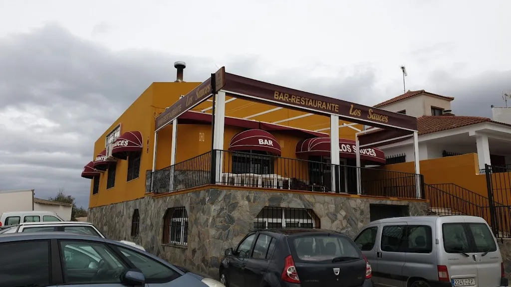 Allan_Bar Restaurante Los Sauces_Saucejo El_review