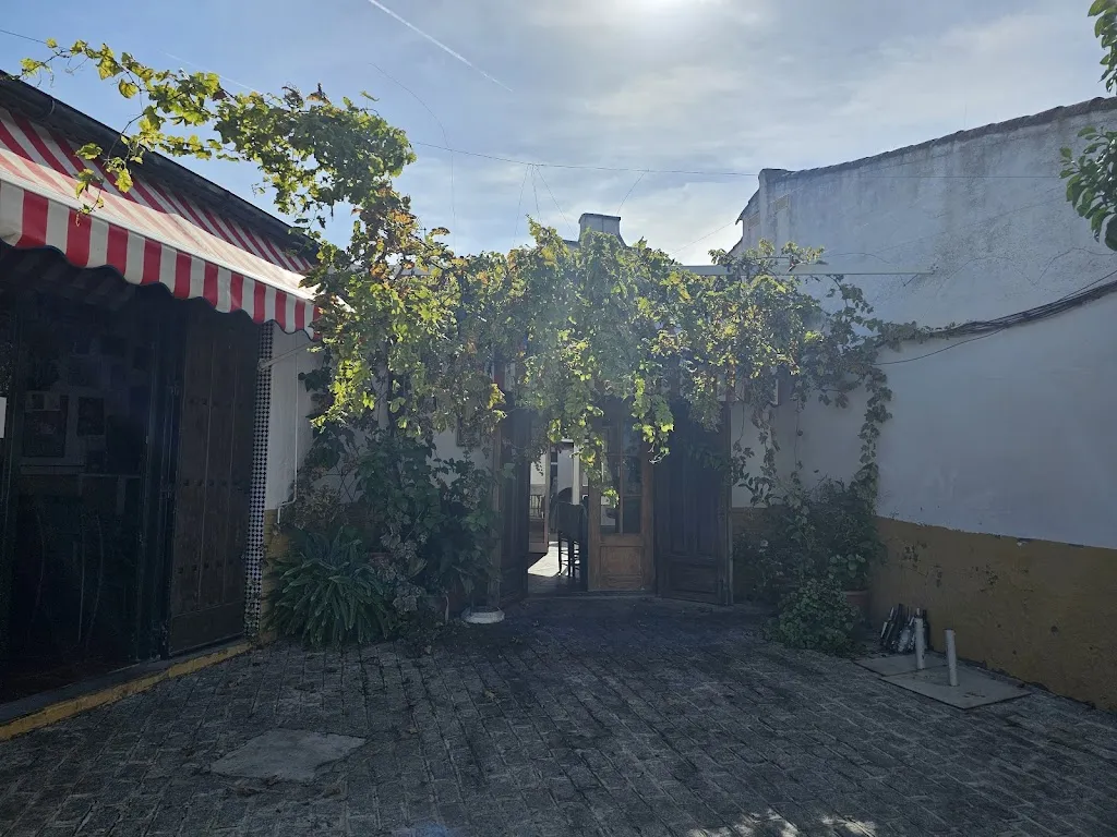 Sharon Fogarty_El Mirador_Santiponce_review