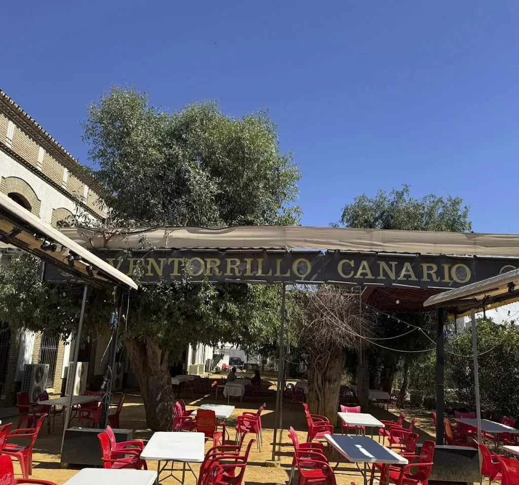 Ventorrillo Canario_Santiponce_slider_image_3