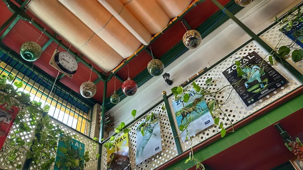 Isabel GM_Bodeguita Nicomedes._Santiponce_recensione