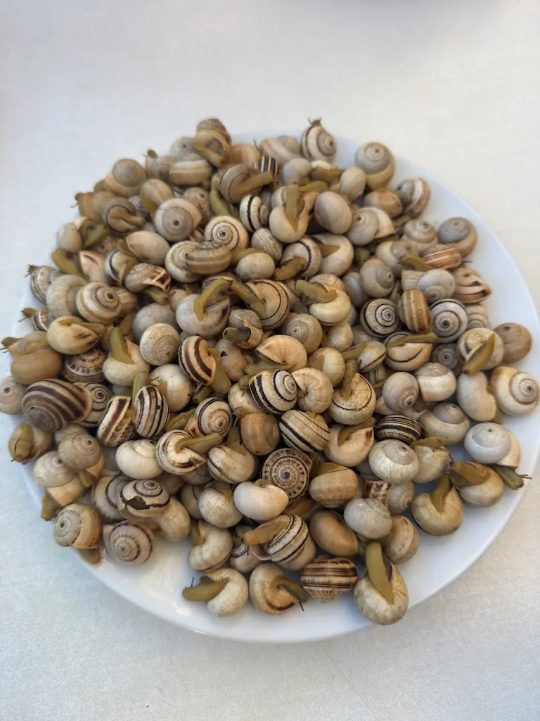 David Rodríguez Gil_Camino del Rocío_Santiponce_review