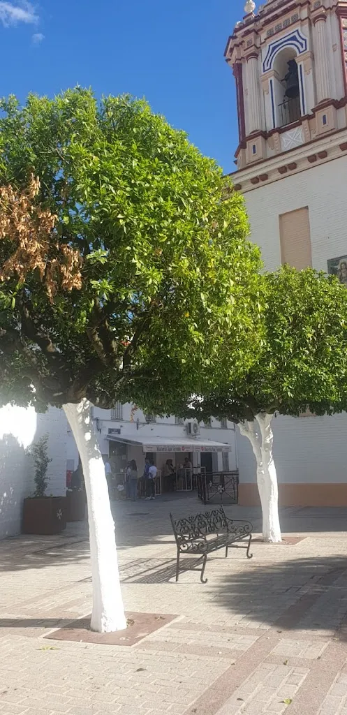 Luis Martínez_Abacería San Vicente_Tocina_review