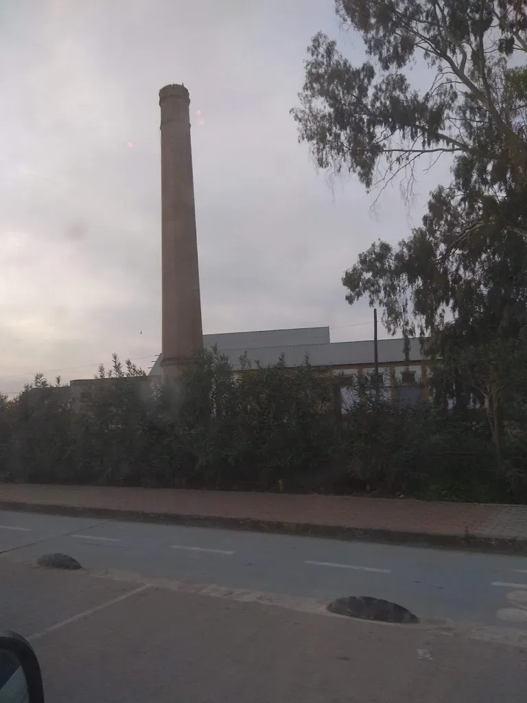 Miguel Angel_Restaurante Los Rosales_Tocina_review