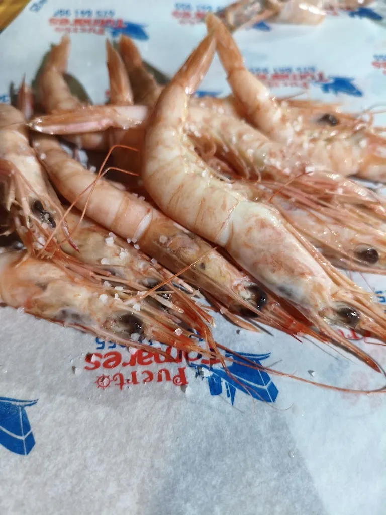 JR P Jardi_Puerto Tomares_Tomares_review