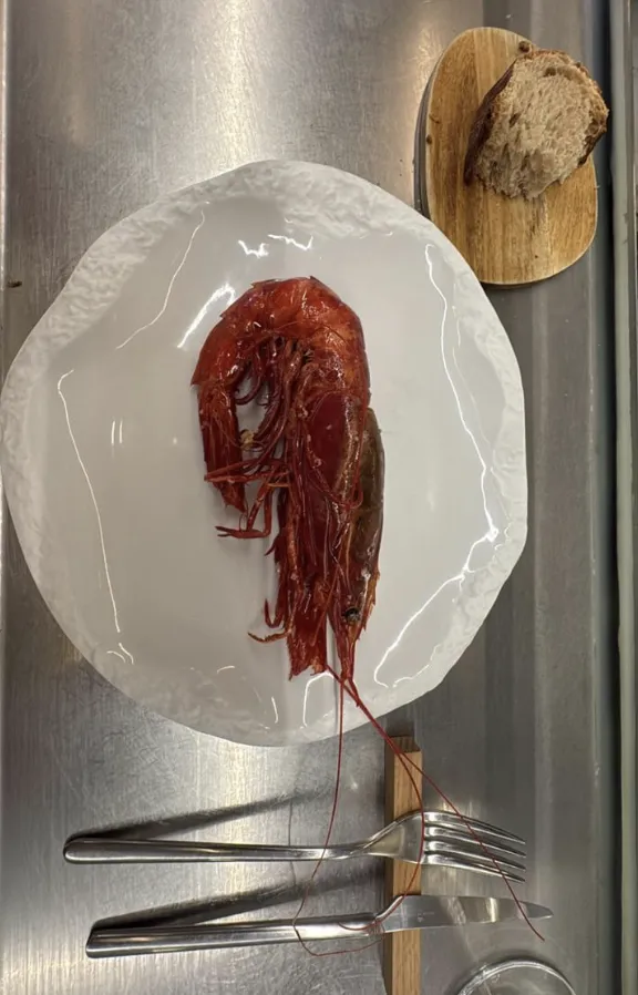 Diogo Miguel Marcos_La Barra de Cañabota_Sevilla_review