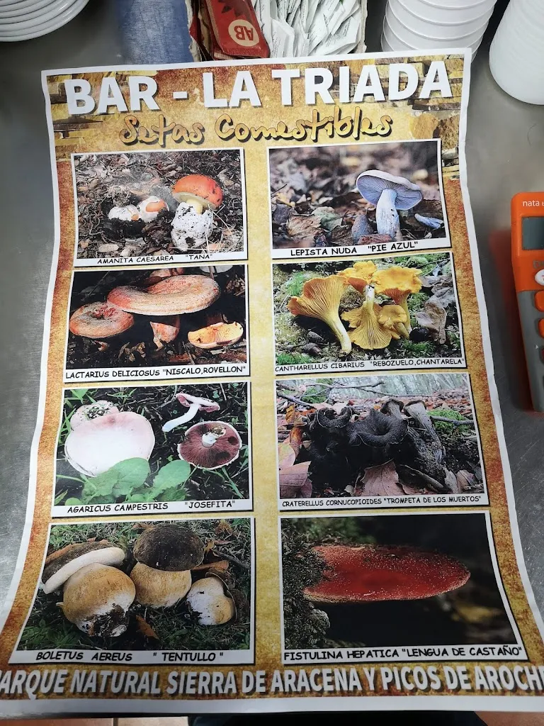 Menu_Cerveceria La Triada Cafeteria_Valencina de la Concepción_image_2