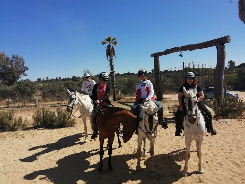 Cecilia Vicenzi_Posada Ecuestre, Centro de Visitantes y Restaurante Dehesa Boyal_Villamanrique de la Condesa_recensione