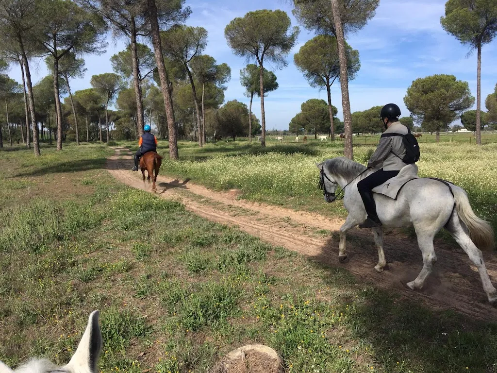 Carl P_Posada Ecuestre, Centro de Visitantes y Restaurante Dehesa Boyal_Villamanrique de la Condesa_recensione