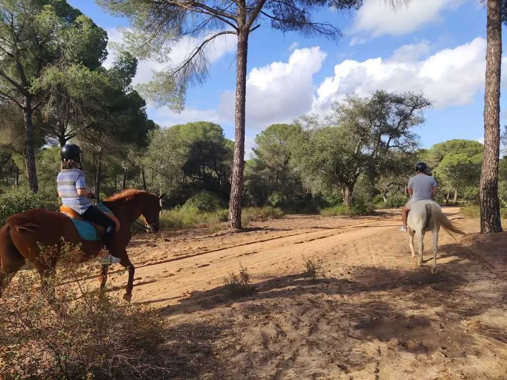 Posada Ecuestre, Centro de Visitantes y Restaurante Dehesa Boyal_Villamanrique de la Condesa_slider_image_3