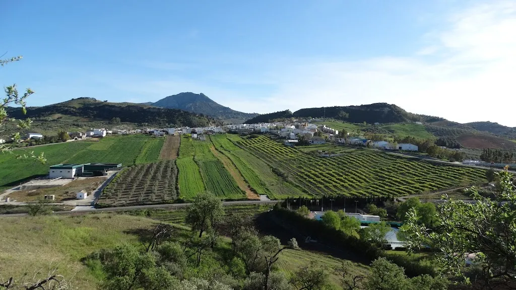 Limón_Villanueva de San Juan_slider_image_3