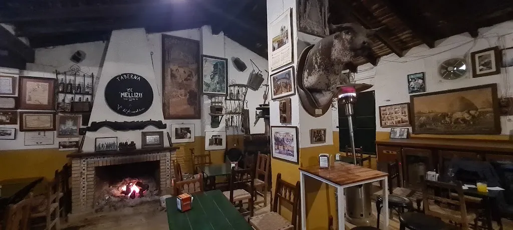 Stephan_Taberna El Mellizo_Villanueva del Ariscal_review