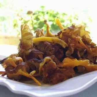 La Lobita_Abejar_slider_image_3