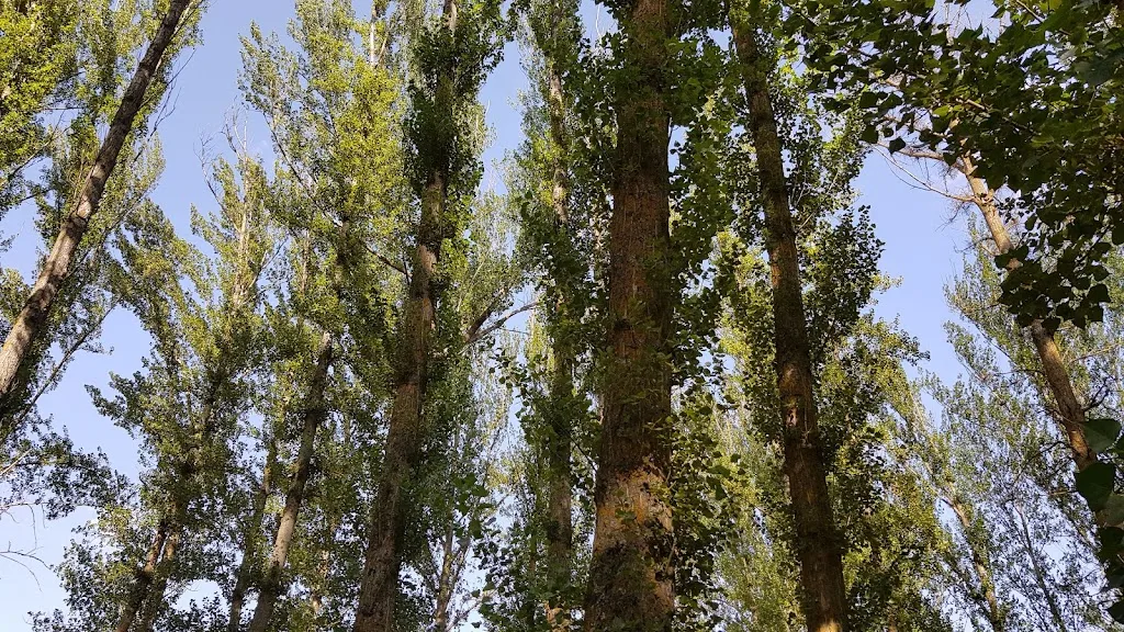 Roberto Martin_Restaurante Casa del Guarda_Ausejo de la Sierra_review