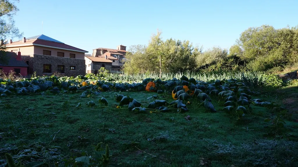 José Antonio Herrera_Albergue SAN ROQUE de BERATÓN_Beratón_review