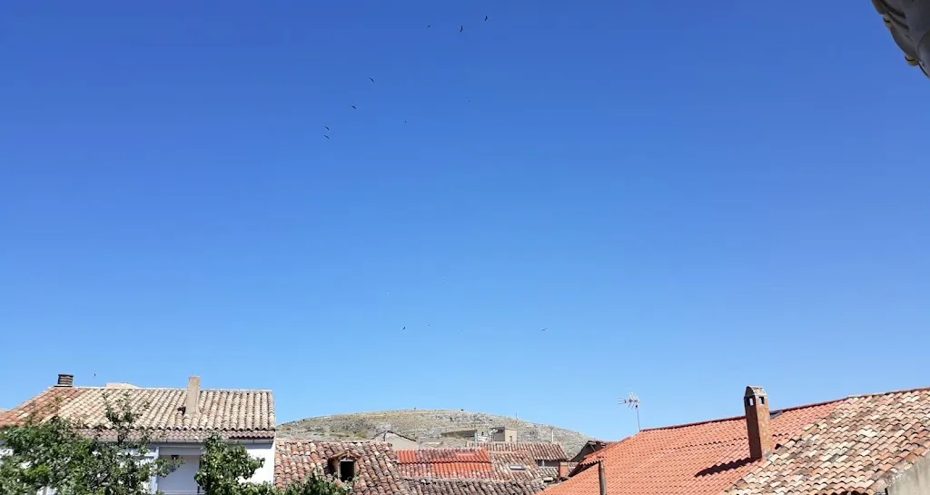 Pandreula restaurant in Berlanga de Duero