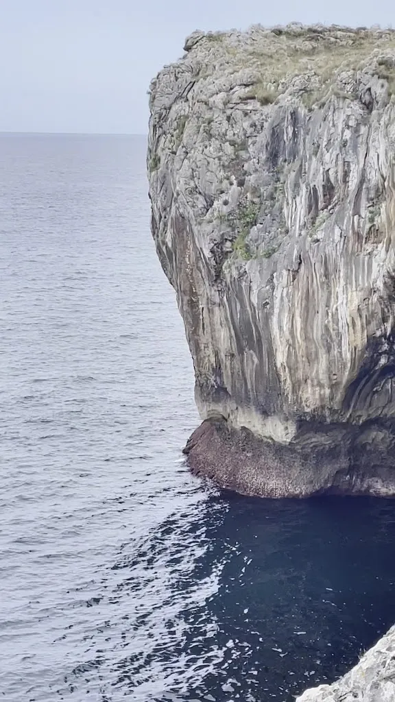 N.O.D Musik_Jesters of Arenillas_Arenillas_review