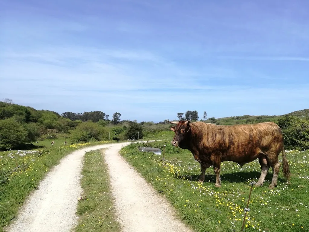 Kevin De Clercq_Jesters of Arenillas_Arenillas_review