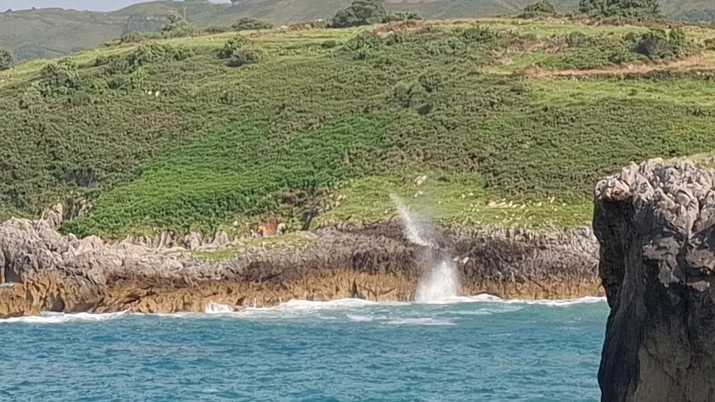 Jesters of Arenillas_Arenillas_slider_image_2