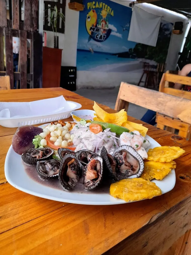 MAYRA AJILA ORELLANA_Picanteria Mr Cat_Arenillas_review