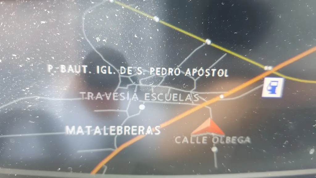 Manuel Orrego_Asador El Rosco_Castilruiz_review