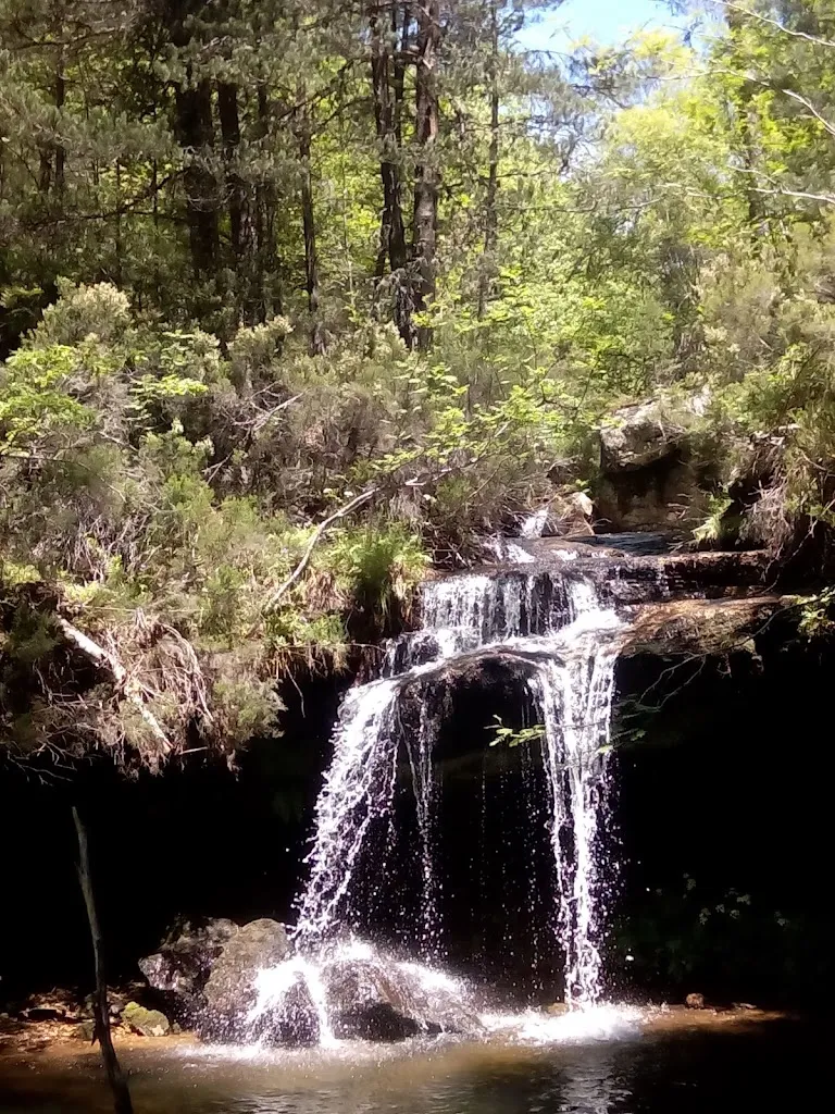 Bar Vicma_Covaleda_slider_image_3