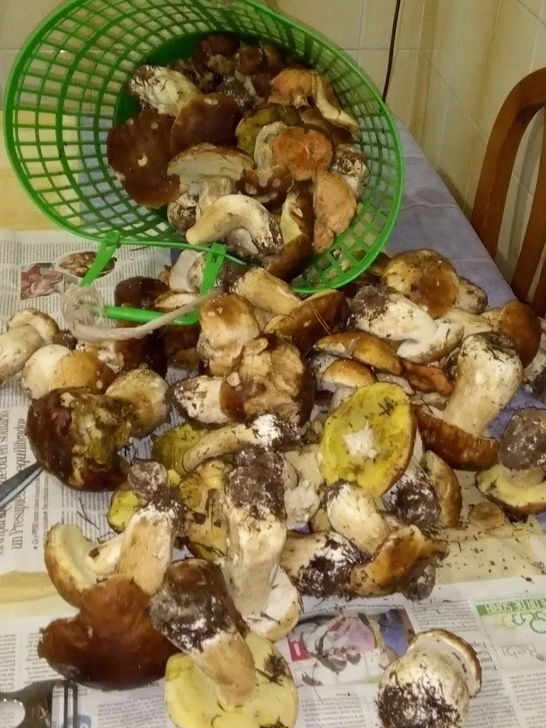 Bar cafeteria Sociedad_Duruelo de la Sierra_slider_image_3