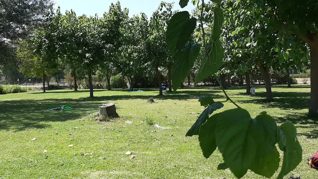 Bar de las piscinas_Langa de Duero_slider_image_3