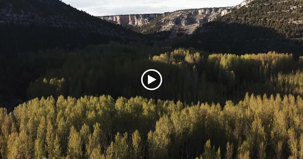 Hotel - Restaurante con encanto Starlight El Cielo de Muriel Astroturismo y naturaleza_Muriel Viejo_slider_image_2