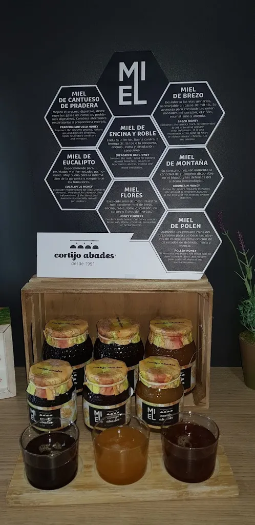 Menu_Abades Lodares_Medinaceli_immagine_7