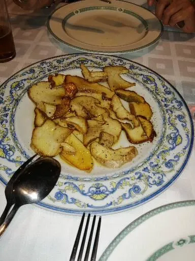 Catalina Cantero_El Maño_Navaleno_review